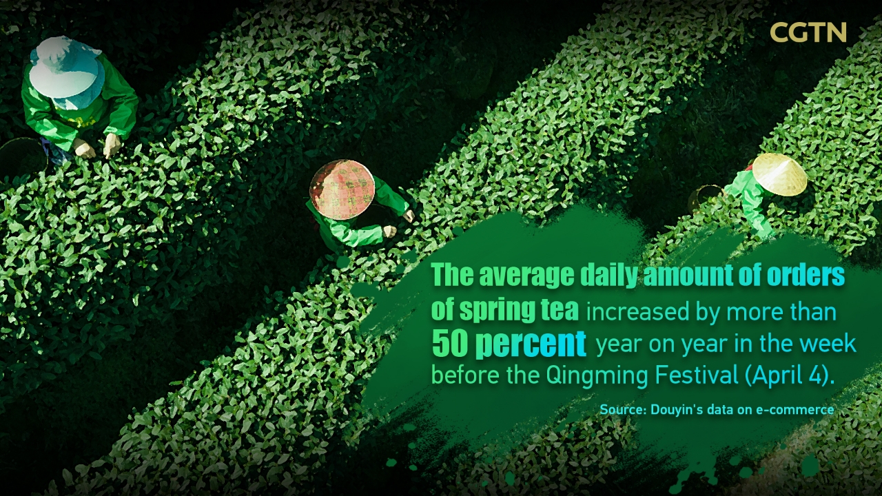 The average daily amount of orders of spring tea. /Designed by CGTN's Li Wenyi