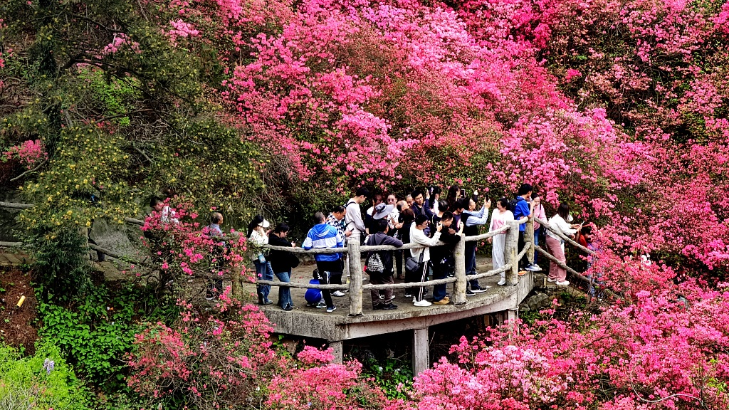 Tourists enjoy spring in Wuhan City, central China's Hubei Province, April 6, 2024. /CFP