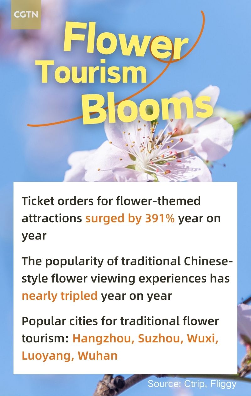 Latest travel trends in China during Qingming Festival