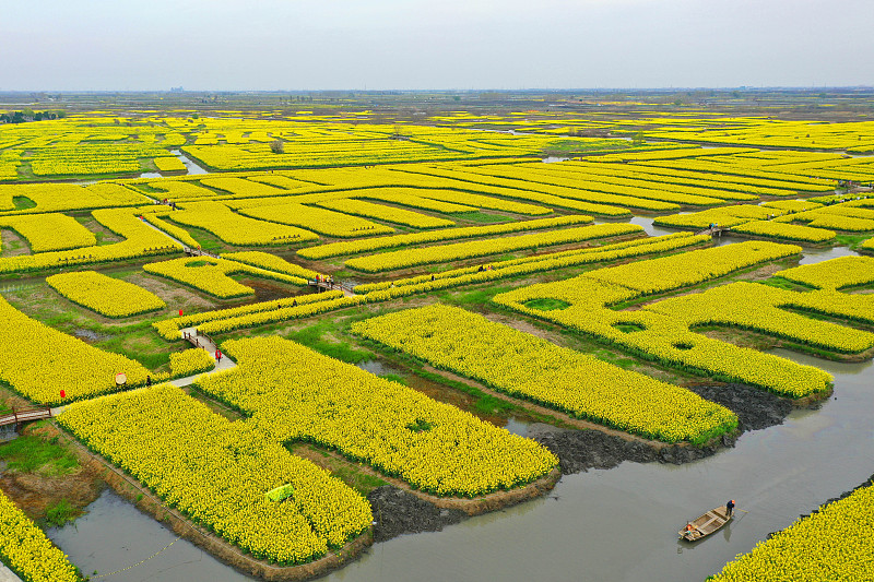 Visitors flock to the Qianduo scenic area to enjoy rapeseed flower blossoms in spring in Xinghua, Jiangsu Province, April 5, 2024. /CFP