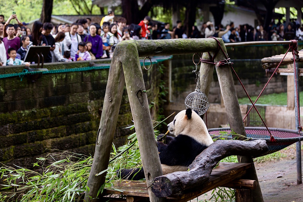 A photo taken on April 4, 2024 shows throngs of tourists at Chongqing Zoo. /CFP