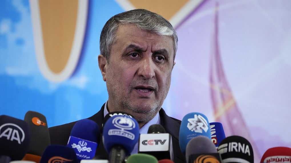 Head of Iran's atomic energy department Mohammad Eslami speaks during a news briefing marking the country's national Nuclear Technology Day in Tehran, Iran, April 8, 2024. /CFP