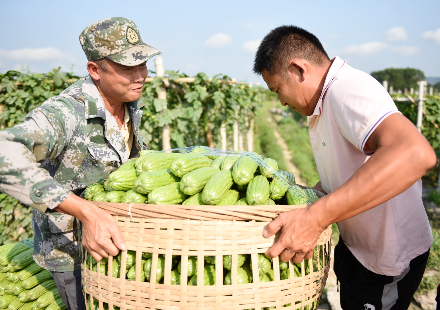 Two farmers carry a basket of bitter gourds. /Photo provided to CGTN