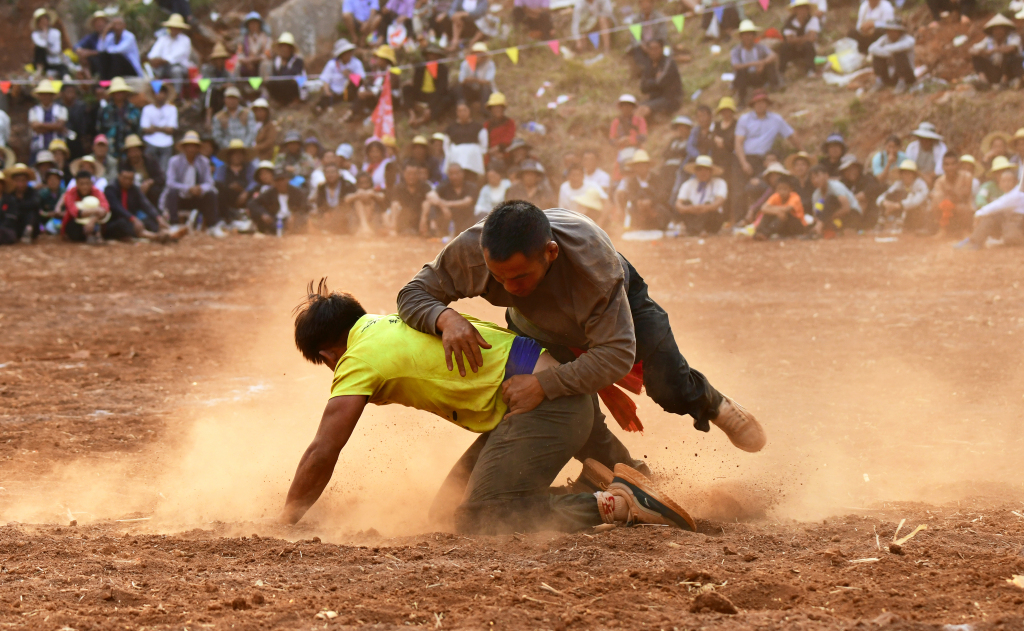 A moment of a wrestling competition is captured at a village in Mile City, Yunnan Province on April 11, 2024. /CFP 