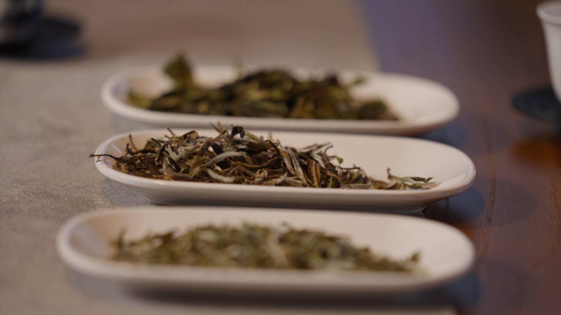 The magic of white tea