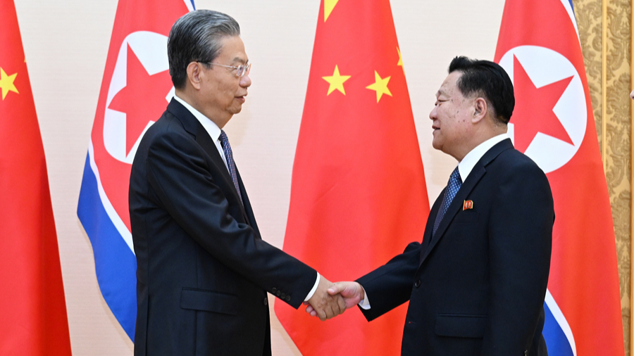 Zhao Leji (L), a member of the Standing Committee of the Political Bureau of the CPC Central Committee and chairman of China's NPC Standing Committee, meets with Choe Ryong Hae, a member of the Presidium of the Political Bureau of the Central Committee of the WPK and chairman of the Standing Committee of the Supreme People's Assembly of the DPRK, in Pyongyang, the DPRK, April 11, 2024. /Xinhua