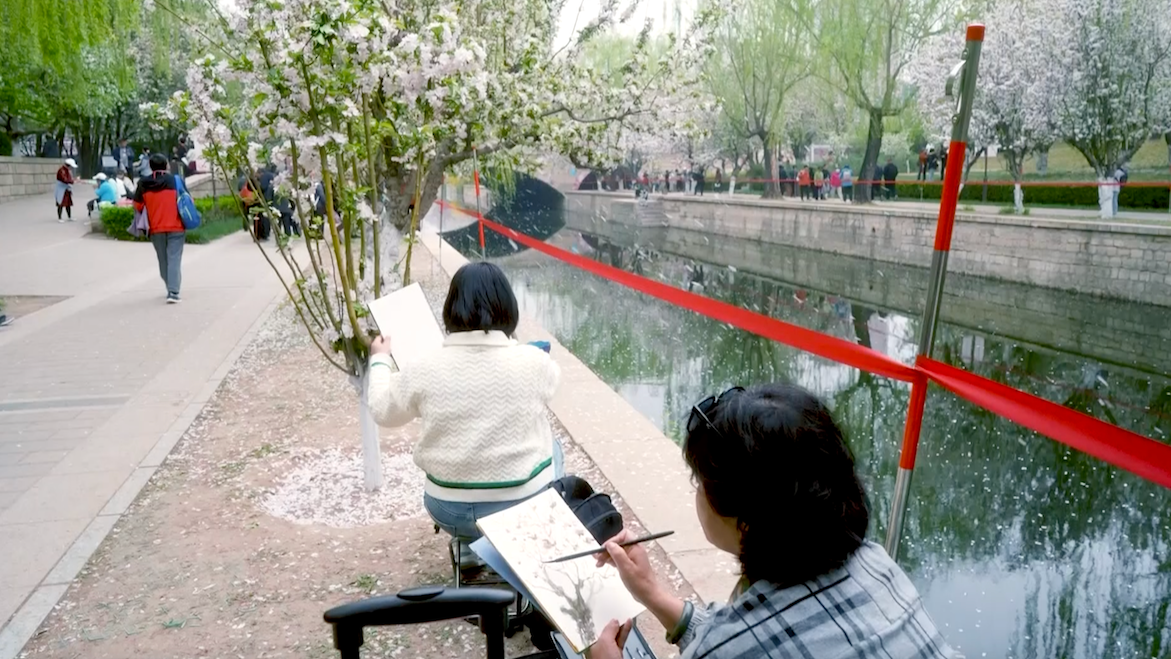 Capturing crabapple blossoms at Beijing's Yuan Dadu City Wall Ruins 