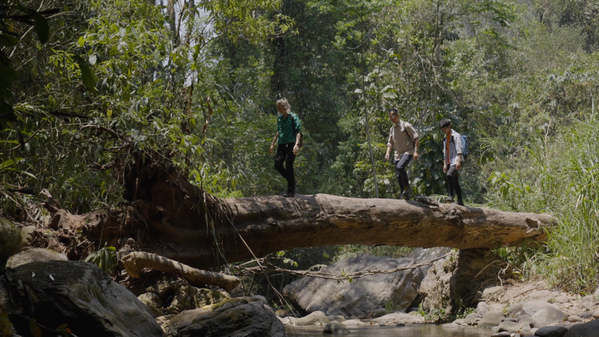 Hiking through the rainforests of Xishuangbanna