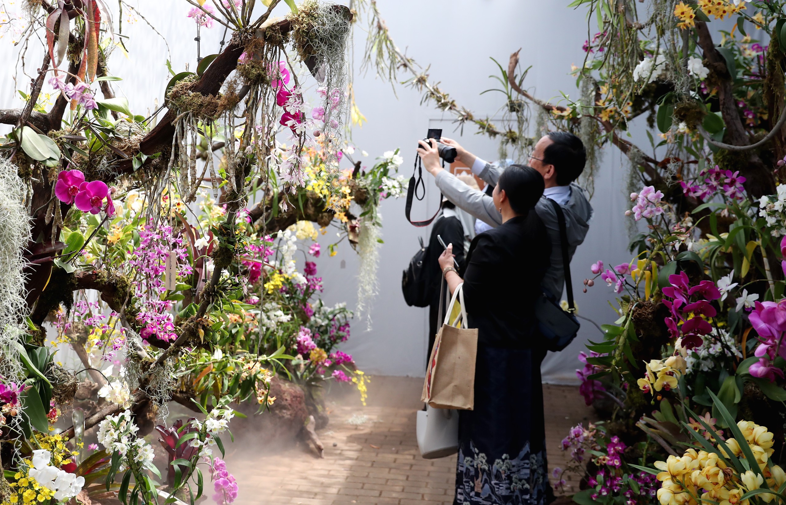 Visitors take photos of blooming orchids at the Kunming Botanical Garden in Yunnan Province on April 14, 2024. /IC