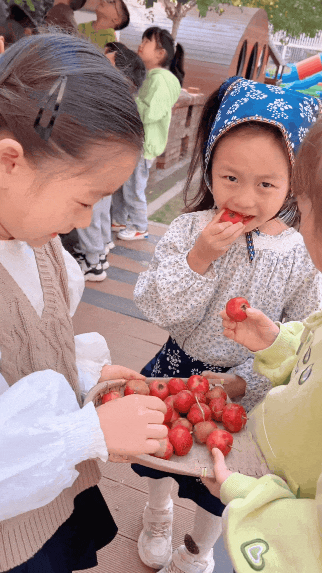 Children enjoy hand-picked fresh hawthorns at the Xu Hai Road Kindergarten in Xuzhou, Jiangsu Province, China. /CMG