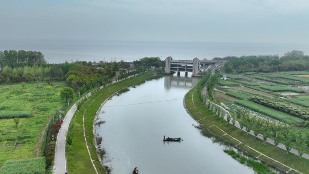 An aerial drone photo taken on April 11, 2024, shows cleaners removing illegal fishing nets at a port of Taihu Lake, Huzhou City, east China's Zhejiang Province. /Xinhua