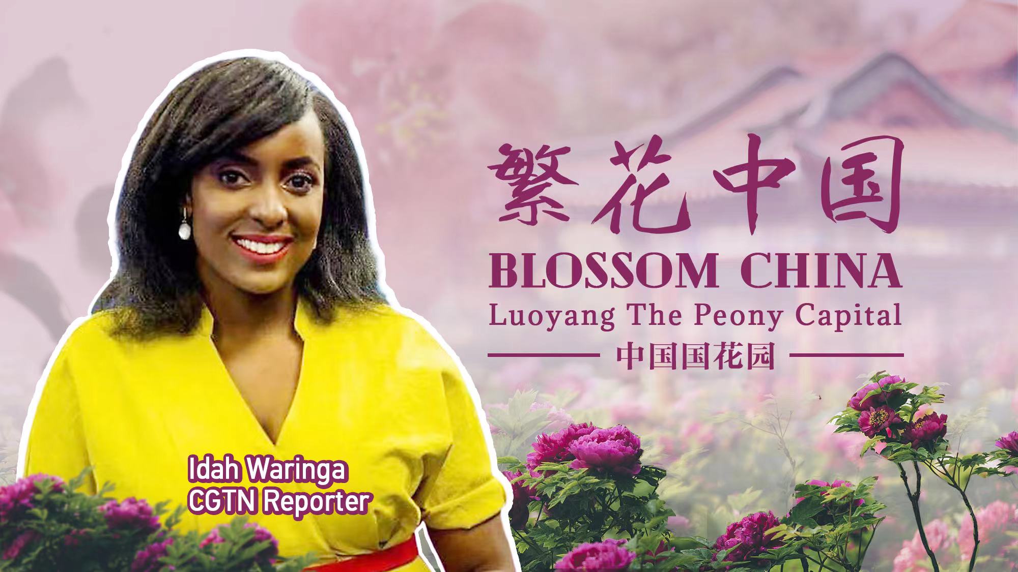 Live: Blossom China - Luoyang, the peony capital