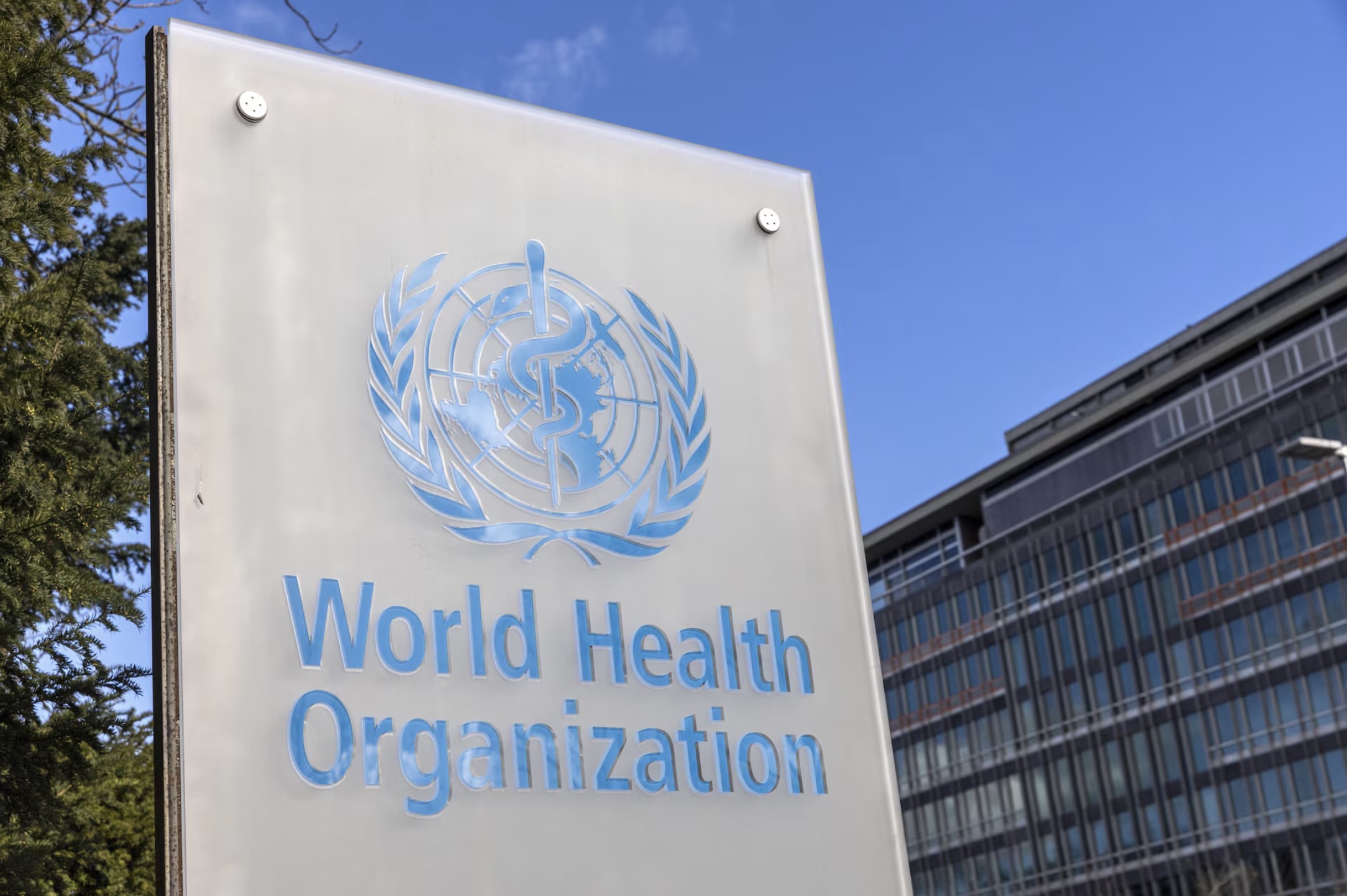 The WHO logo is seen near its headquarters in Geneva, Switzerland, February 2, 2023. /Reuters