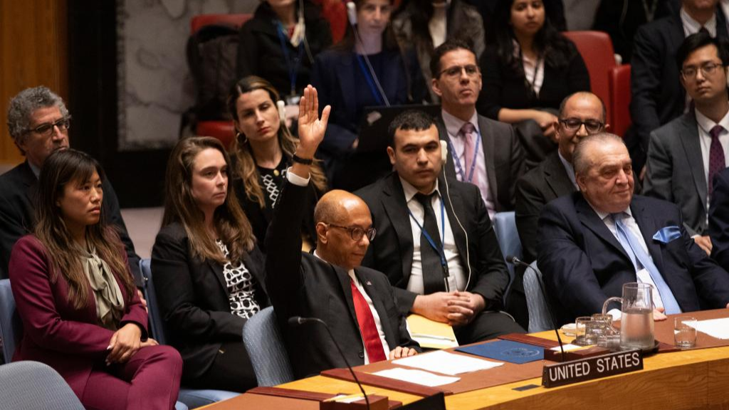 U.S. Deputy Permanent Representative to the UN Robert Wood (L, front) votes against a draft resolution that recommends to the UN General Assembly that 