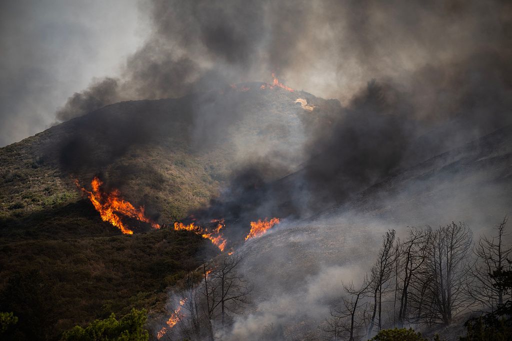 Wildfires burn the forests on the Greek island of Rhodes on July 25, 2023. /CFP