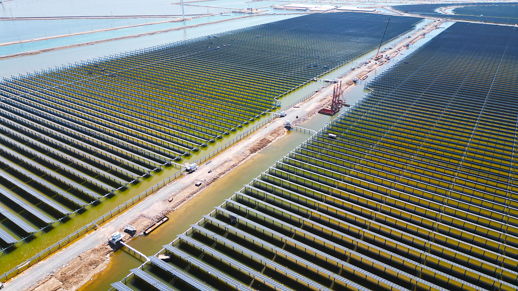 A view of the grid-connected power generation capacity of a complementary power generation project reached 650 megawatts in Binzhou, Shangdong Province, China. /CFP