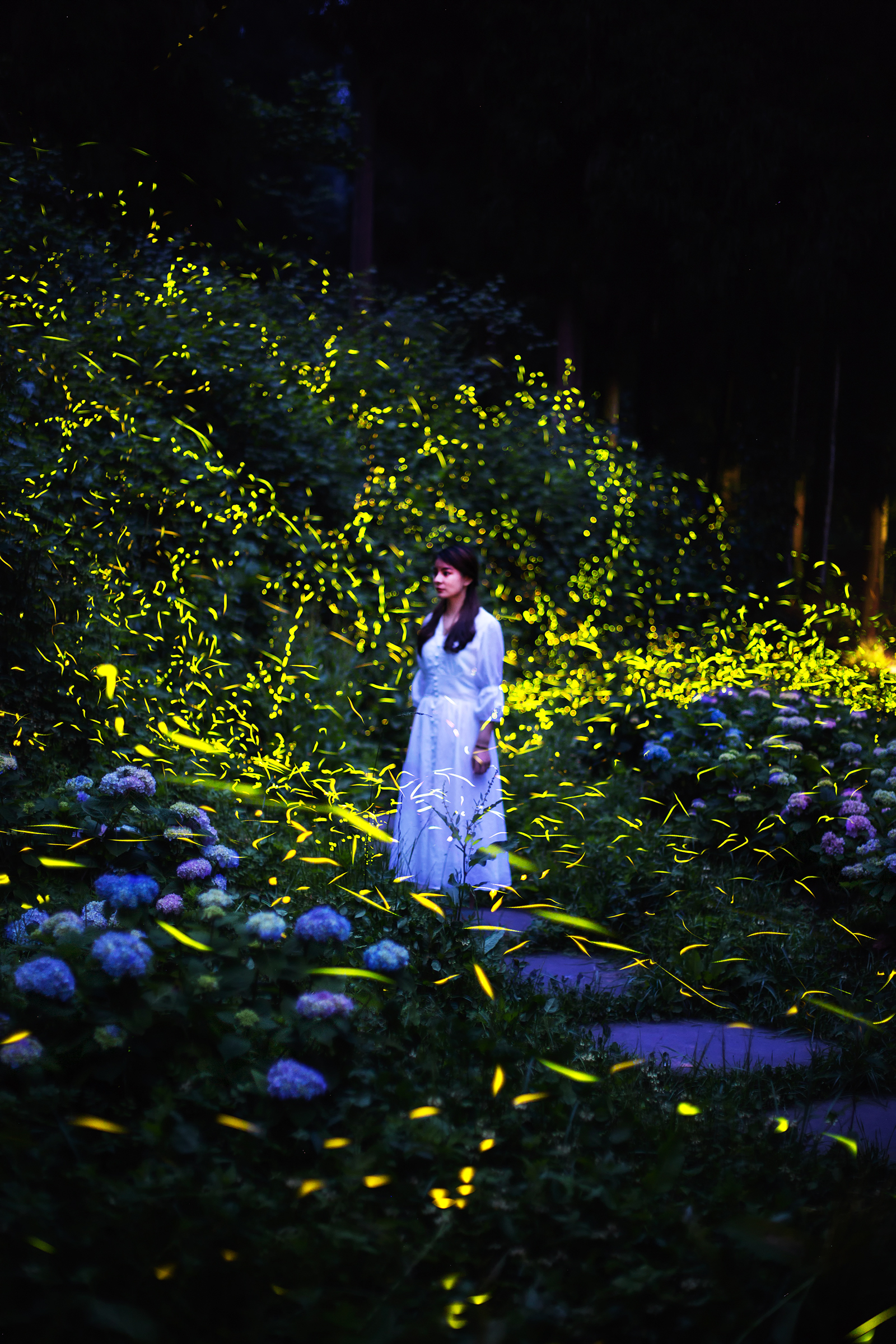 A woman admires the fireflies at the Tiantai Mountain scenic area in Qionglai, Sichuan Province. /Provided to CGTN by Qionglai Branch Venue of International Horticultural Exhibition 2024 Chengdu