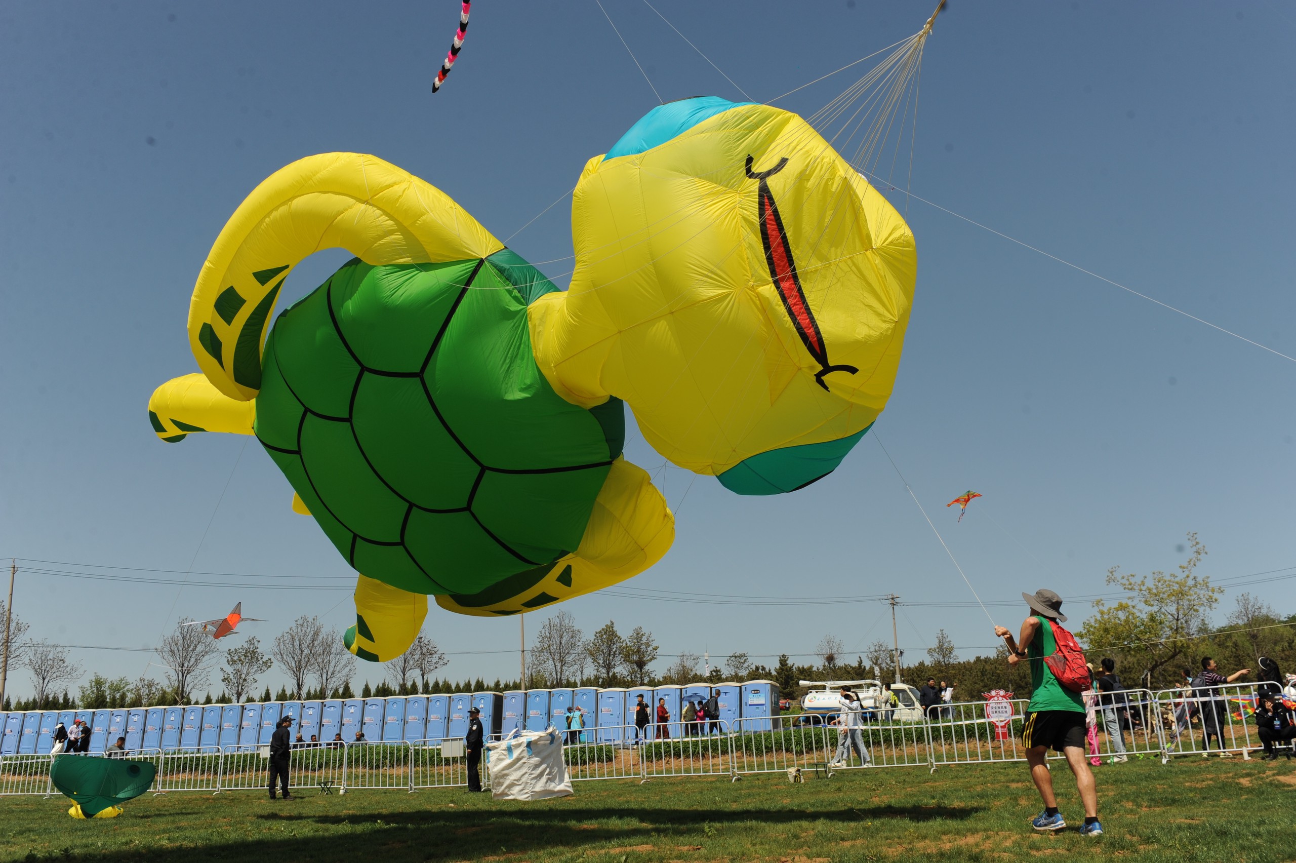 A turtle-shaped kite is seen during the 20th World Kite Championship held in Weifang, Shandong Province on April 20, 2024. /IC
