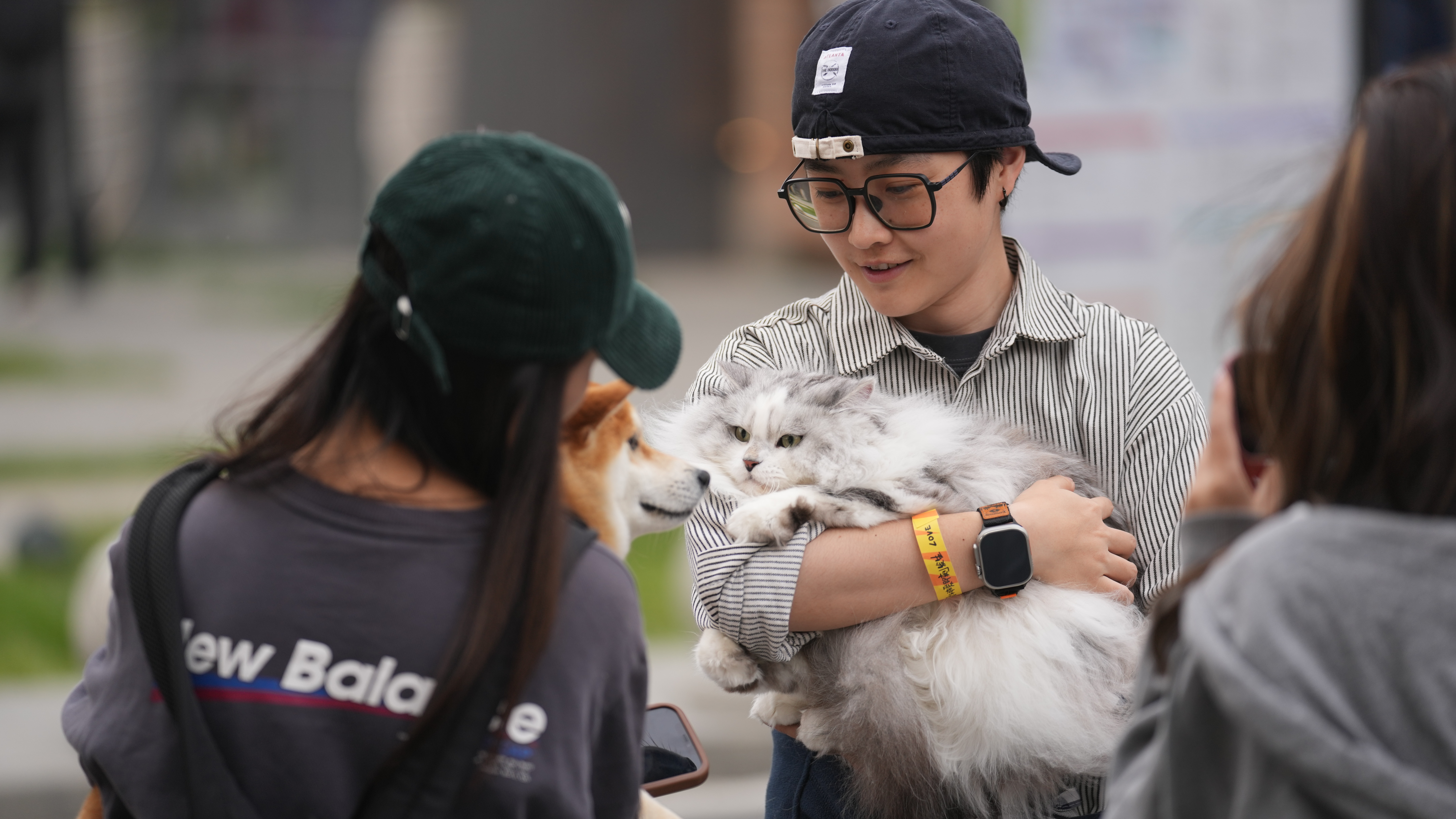 Pet owners greet each other in Beijing. /Chen Bo