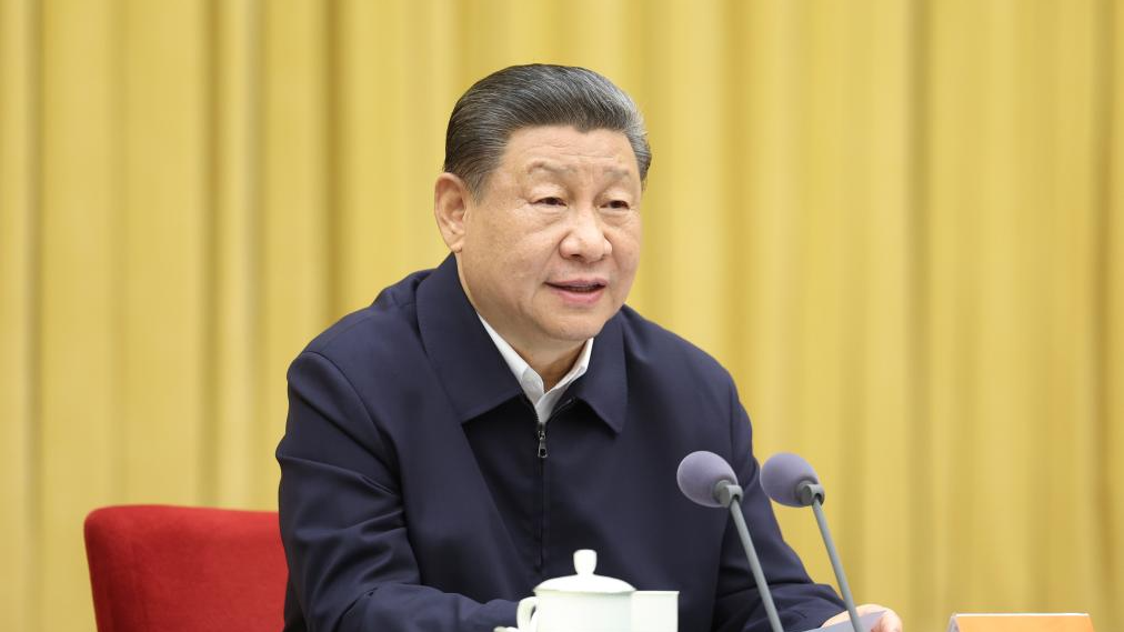Xi Jinping chairs symposium on boosting west China's development