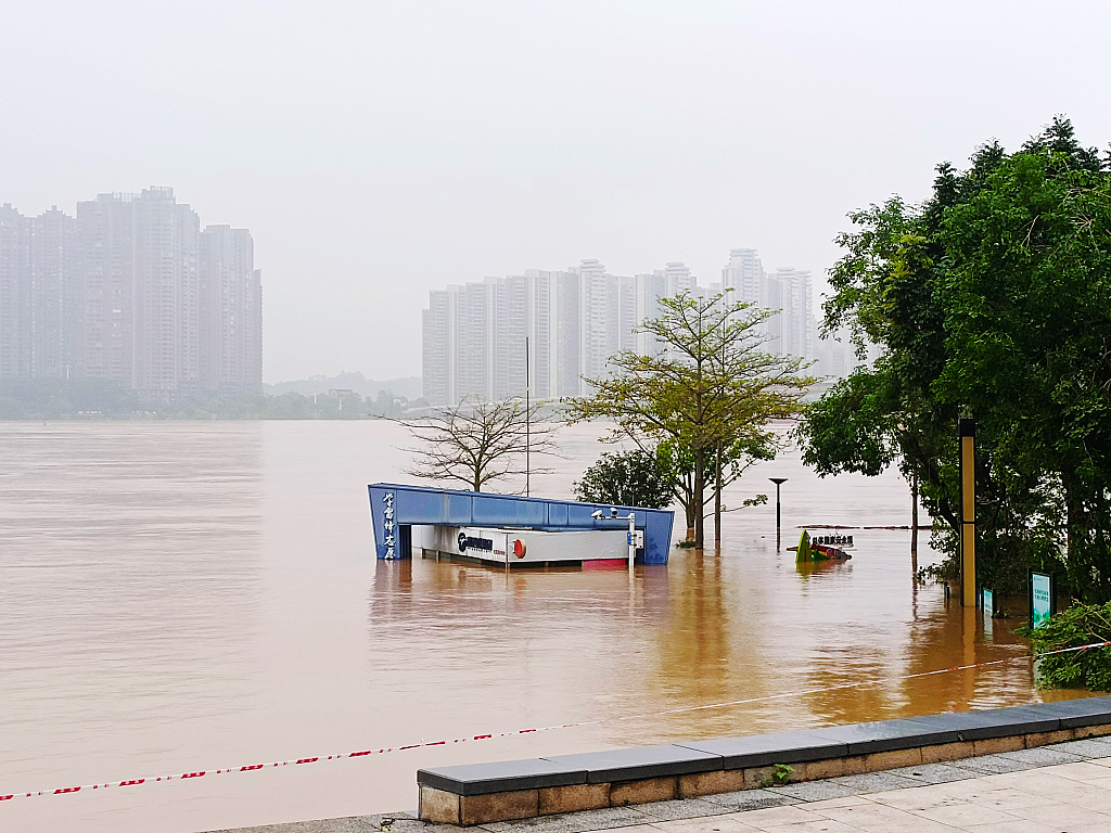 Park facilities and trees in the flooded Beijiang River, Qingyuan City, Guangdong Province, south China, April 22, 2024. /CFP