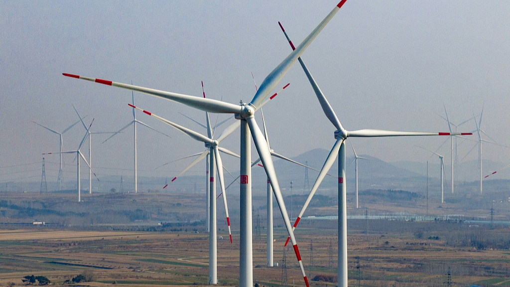 A wind farm in Baoshan Town, Qingdao City, east China's Shandong Province, March 13, 2024. /CFP