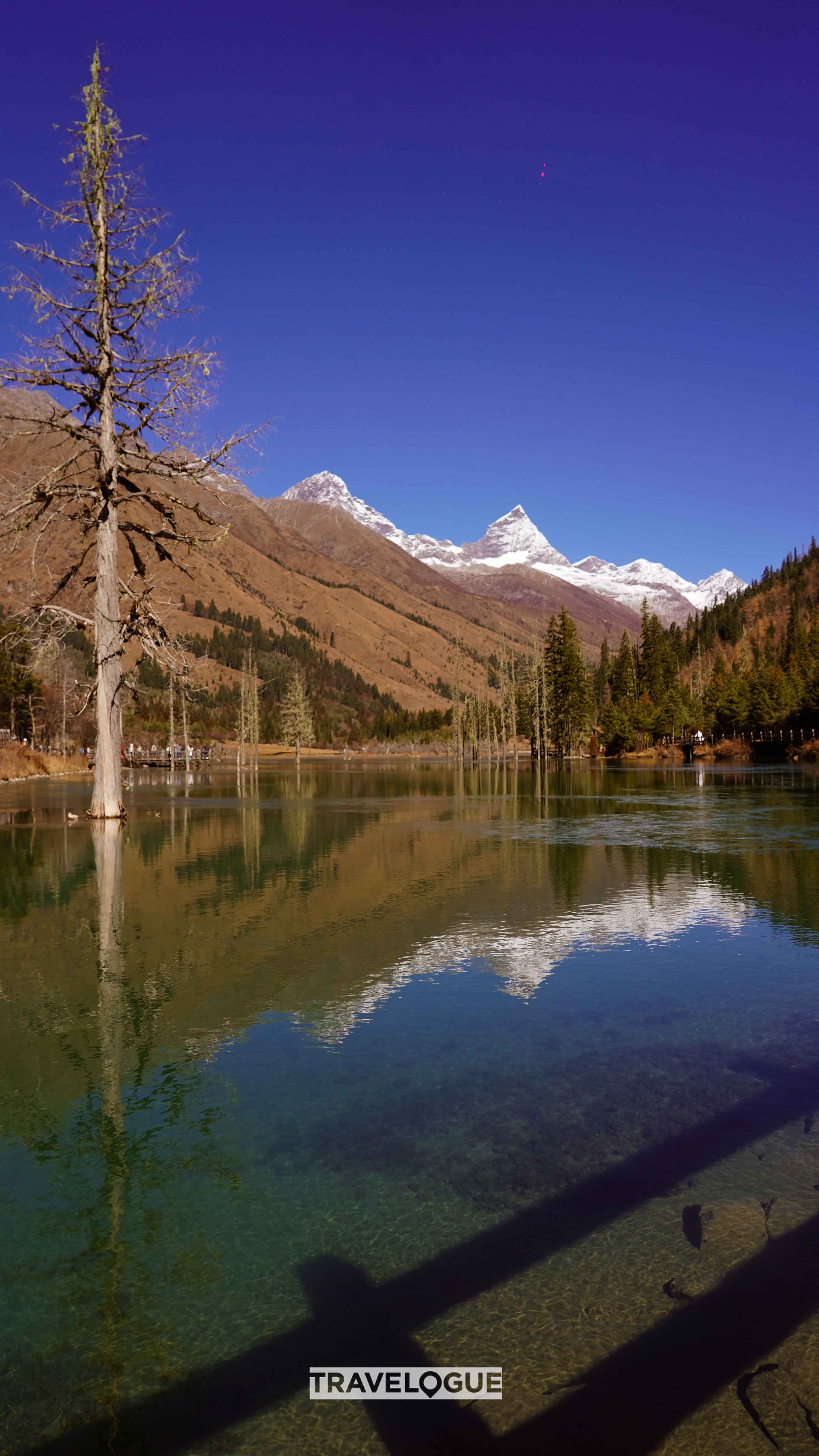 Sigulacuo is an alpine lake located in the Shuangqiao Valley of Mount Siguniang in Sichuan Province. /CGTN