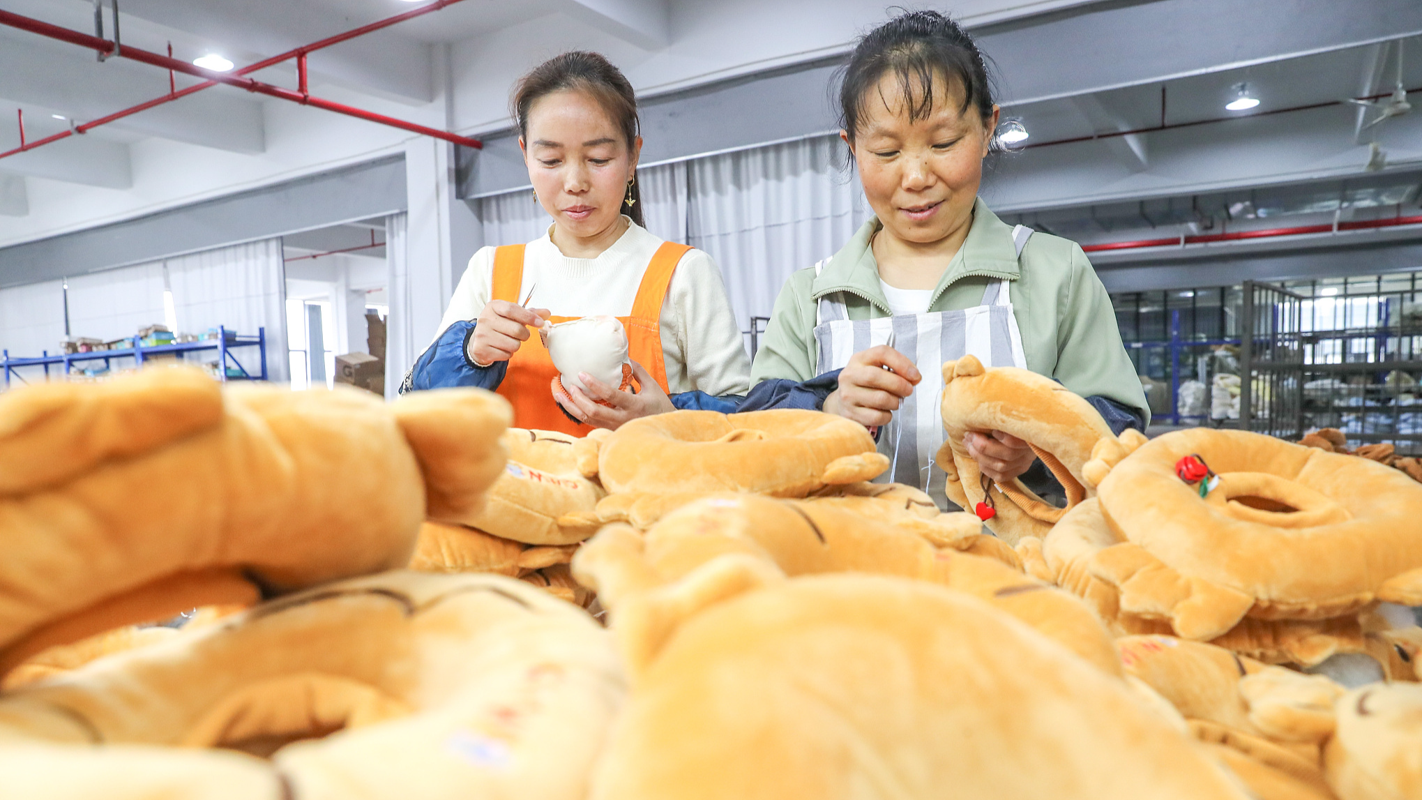 Workers produce pet products at a factory in Huzhou City, east China's Zhejiang Province, April 8, 2024. /CFP