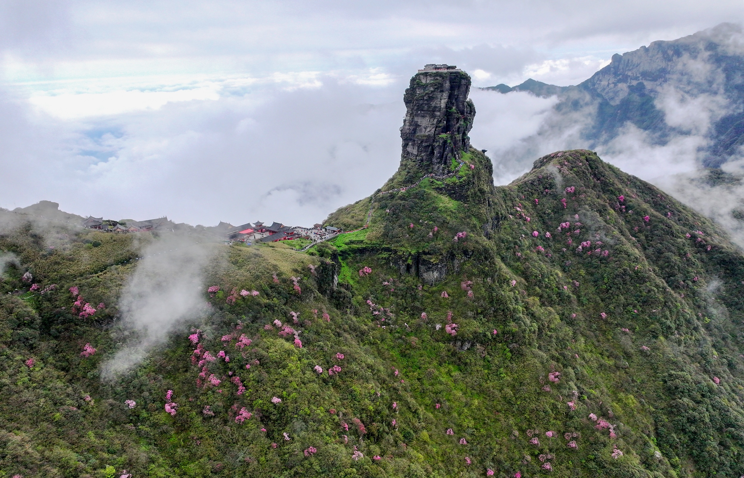 Blooming azalea flowers adorn Mount Fanjing in southwest China's Guizhou Province in this undated photo. /Photo provided to CGTN