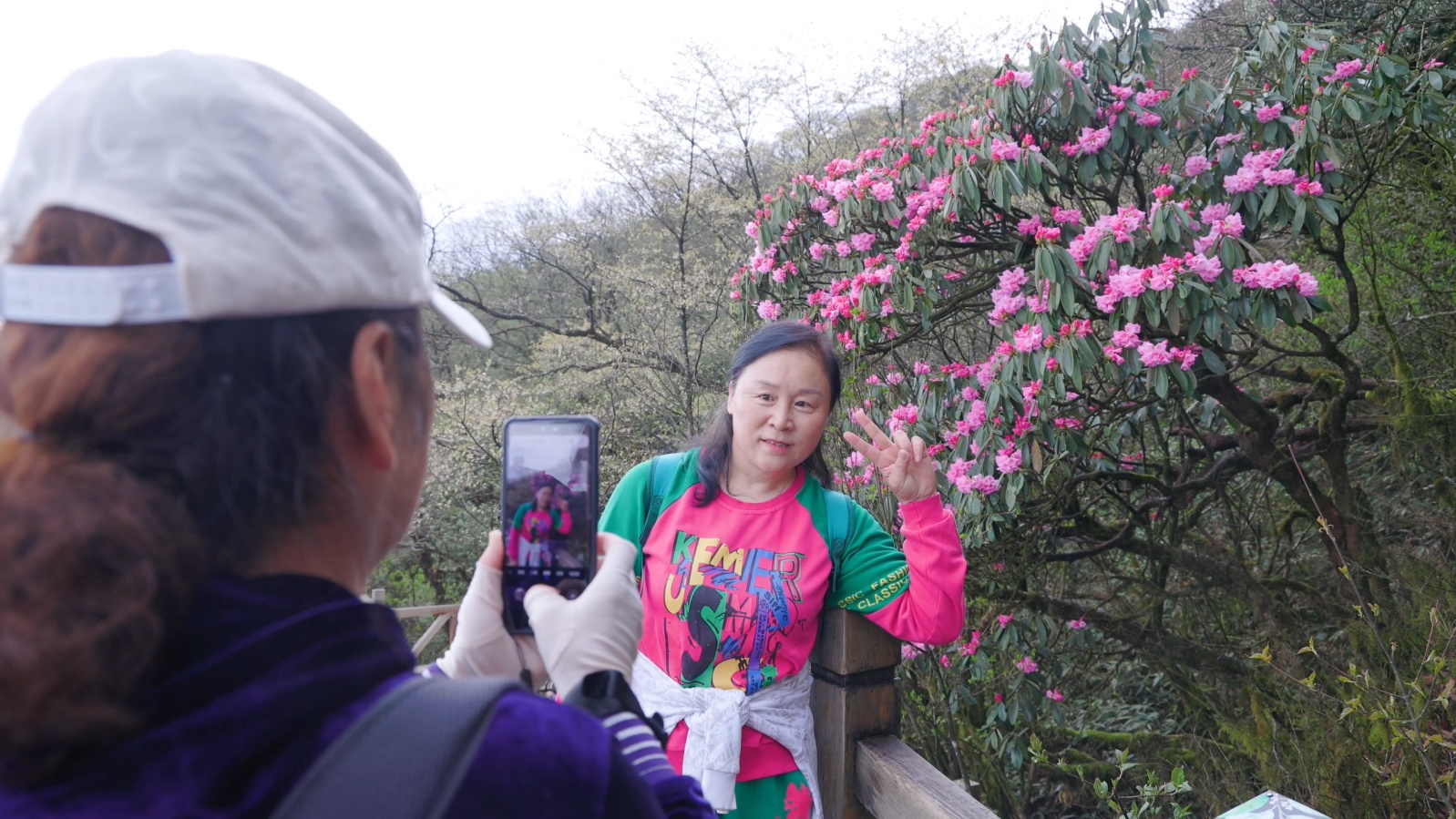 A tourist poses for a photo near blooming azalea flowers at Mount Fanjing in southwest China's Guizhou Province in this undated photo. /Photo provided to CGTN