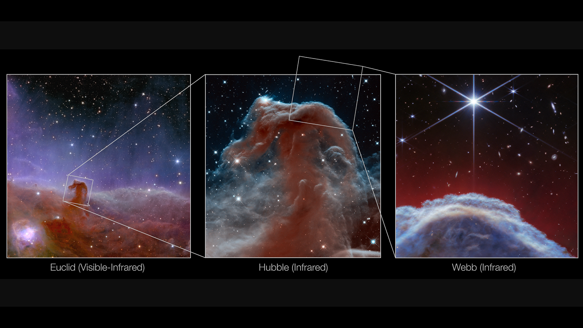 This image showcases three views of one of the most distinctive objects in our skies, the Horsehead Nebula. /NASA