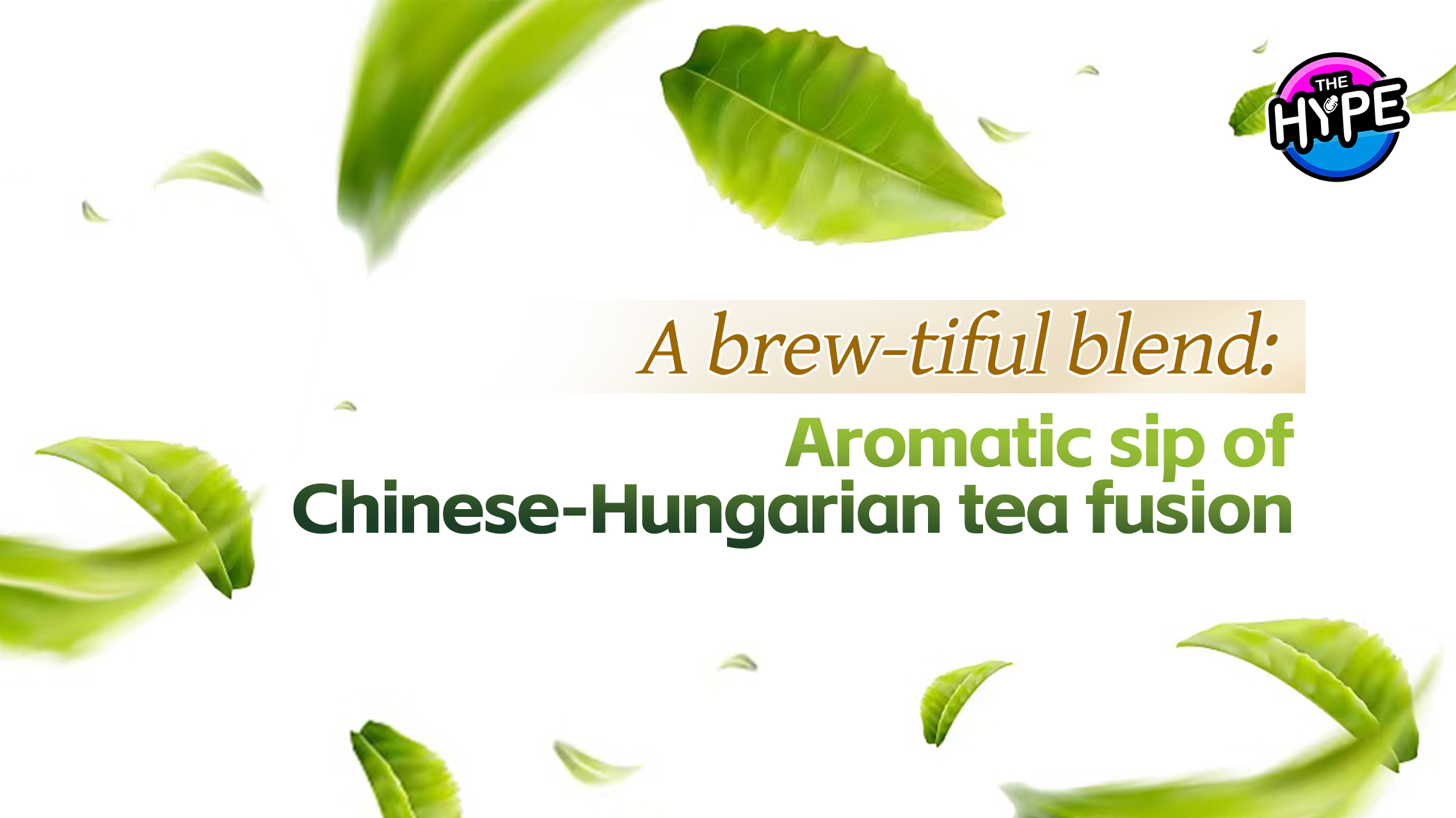 Watch: THE HYPE – Aromatic sip of Chinese-Hungarian tea fusion