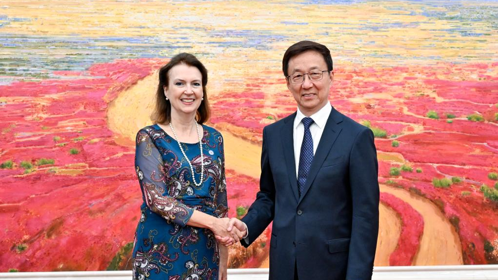 Chinese Vice President Han Zheng meets with Minister of Foreign Affairs, International Trade and Worship of Argentina Diana Mondino in Beijing, capital of China, April 29, 2024. /Xinhua
