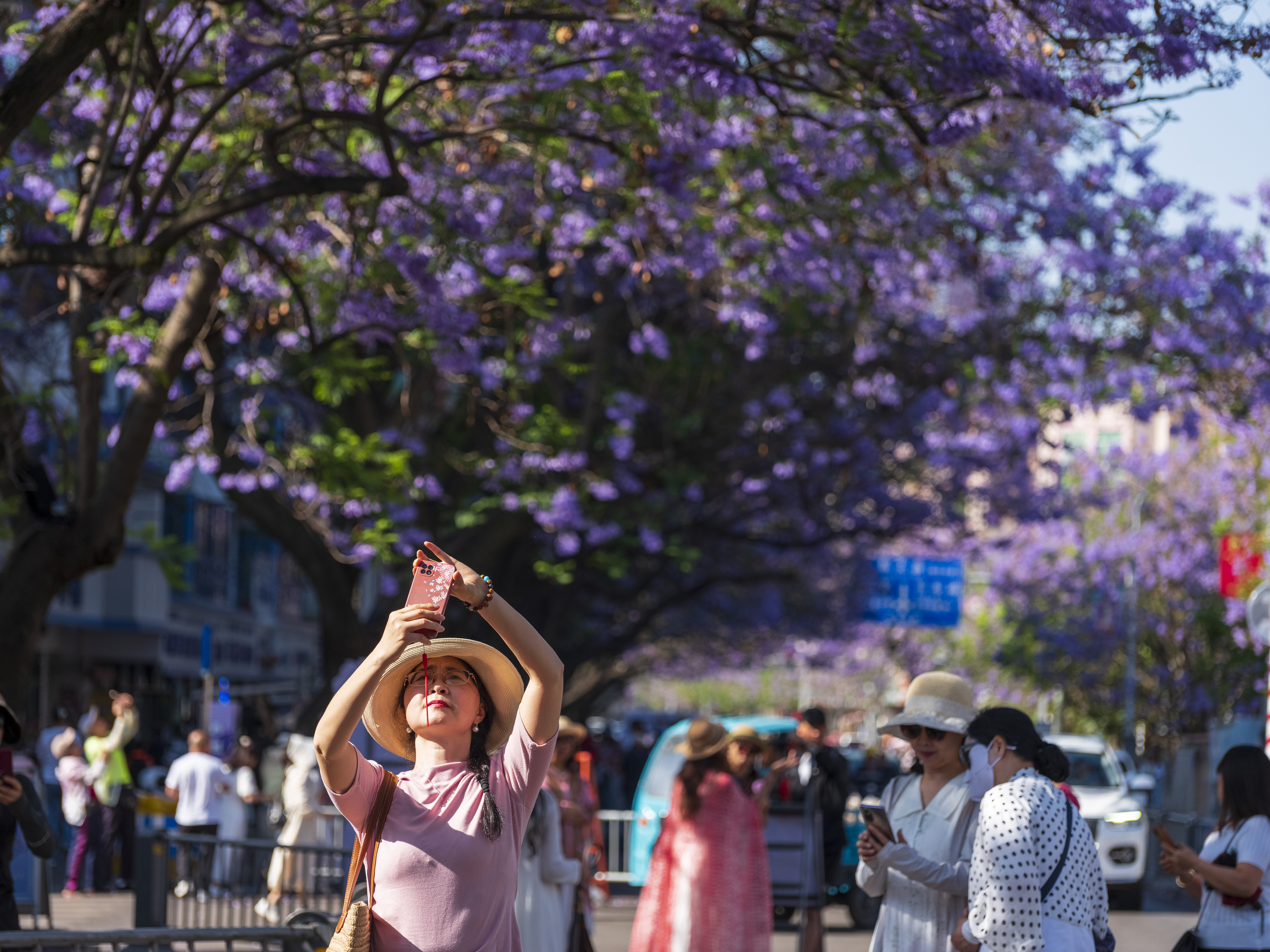 A file photo of people taking photos of the Jacaranda trees in Xichang, a county-level city in southwest China's Sichuan Province. /CFP