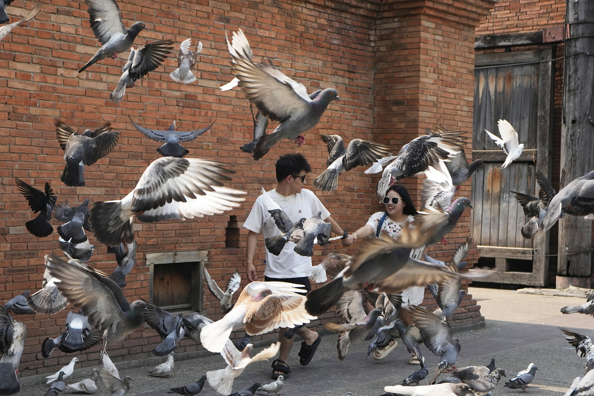 Chinese tourists react to pigeons at Tha Phae Gate, one of many tourist hotspots, in Chiang Mai Province, northern Thailand, April 23, 2024. /CFP
