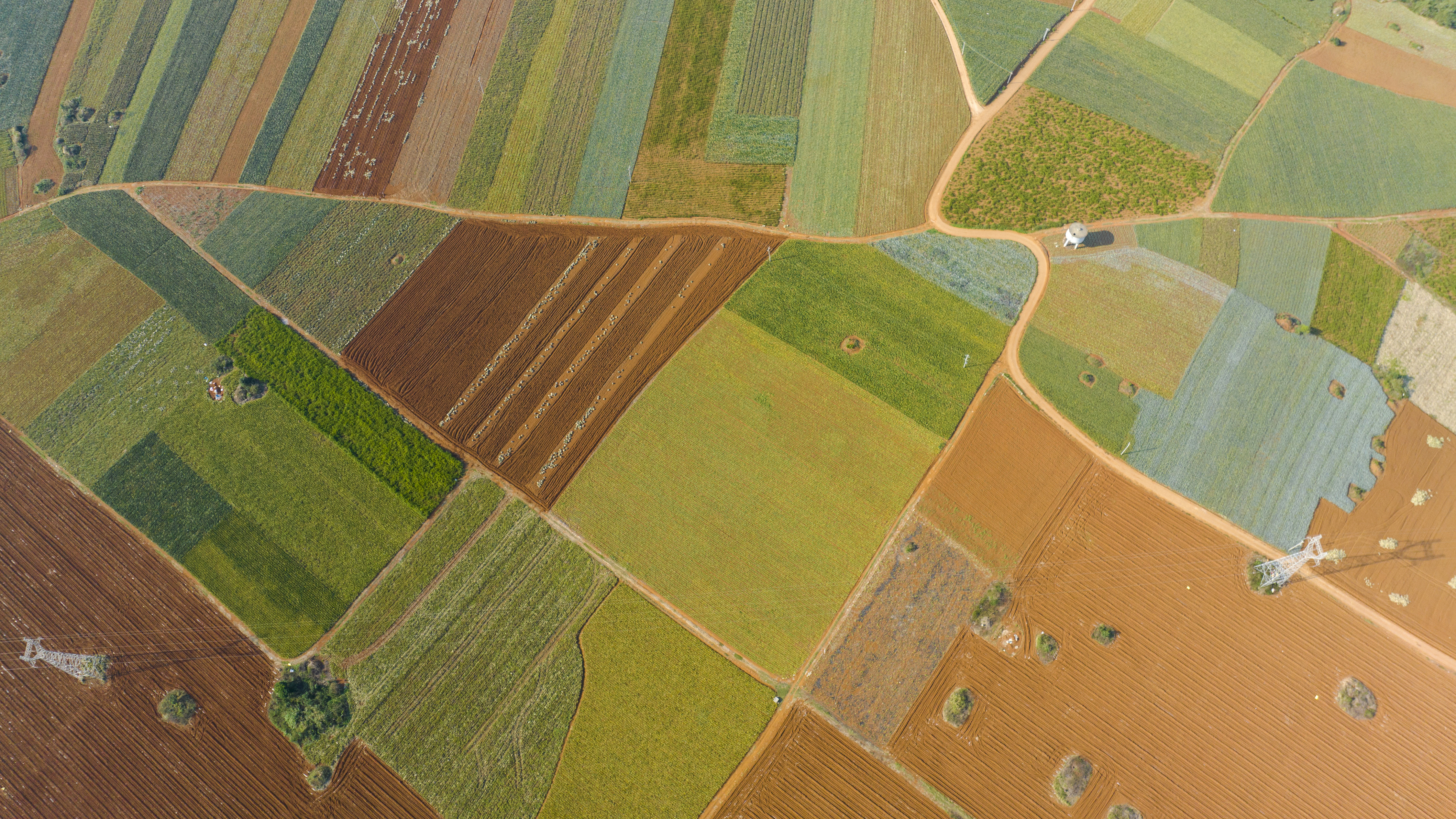 A view of the fields in Xuwen County, Zhanjiang City, south China's Guangdong Province, February 12, 2023. /CFP