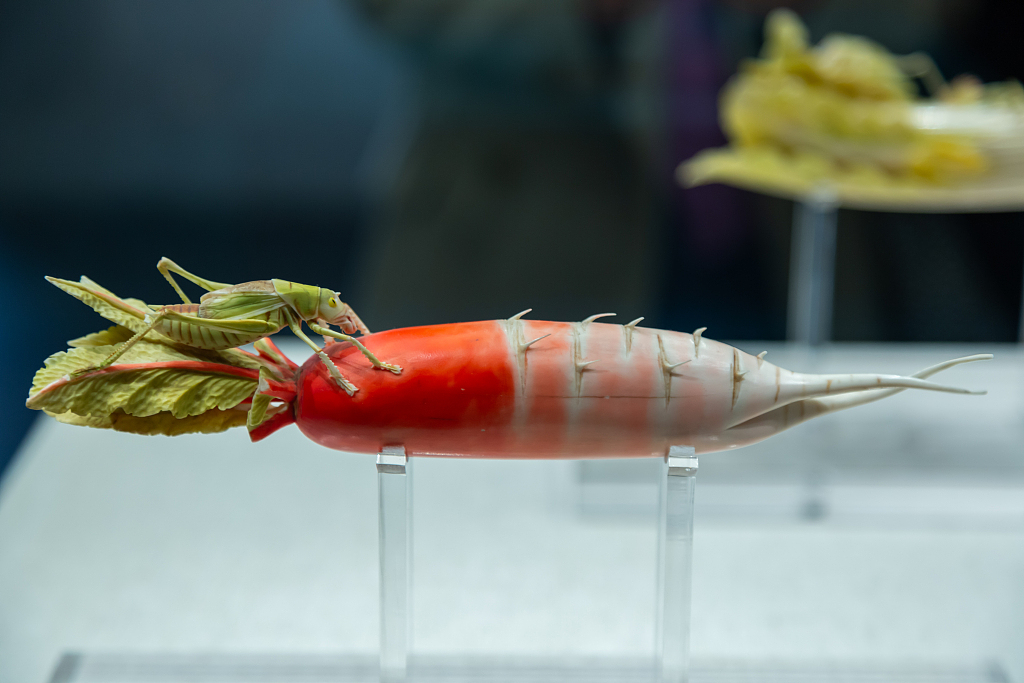 A photo taken on May 5, 2024 shows a closer look at the ivory radish on display at Henan Museum in Zhengzhou, Henan Province, China. /CFP