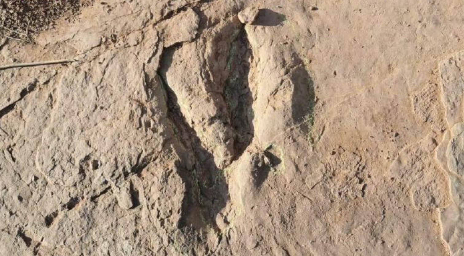 A dinosaur tracksite discovered in Lincheng Town, Longyan City, southeast China's Fujian Province. /CMG