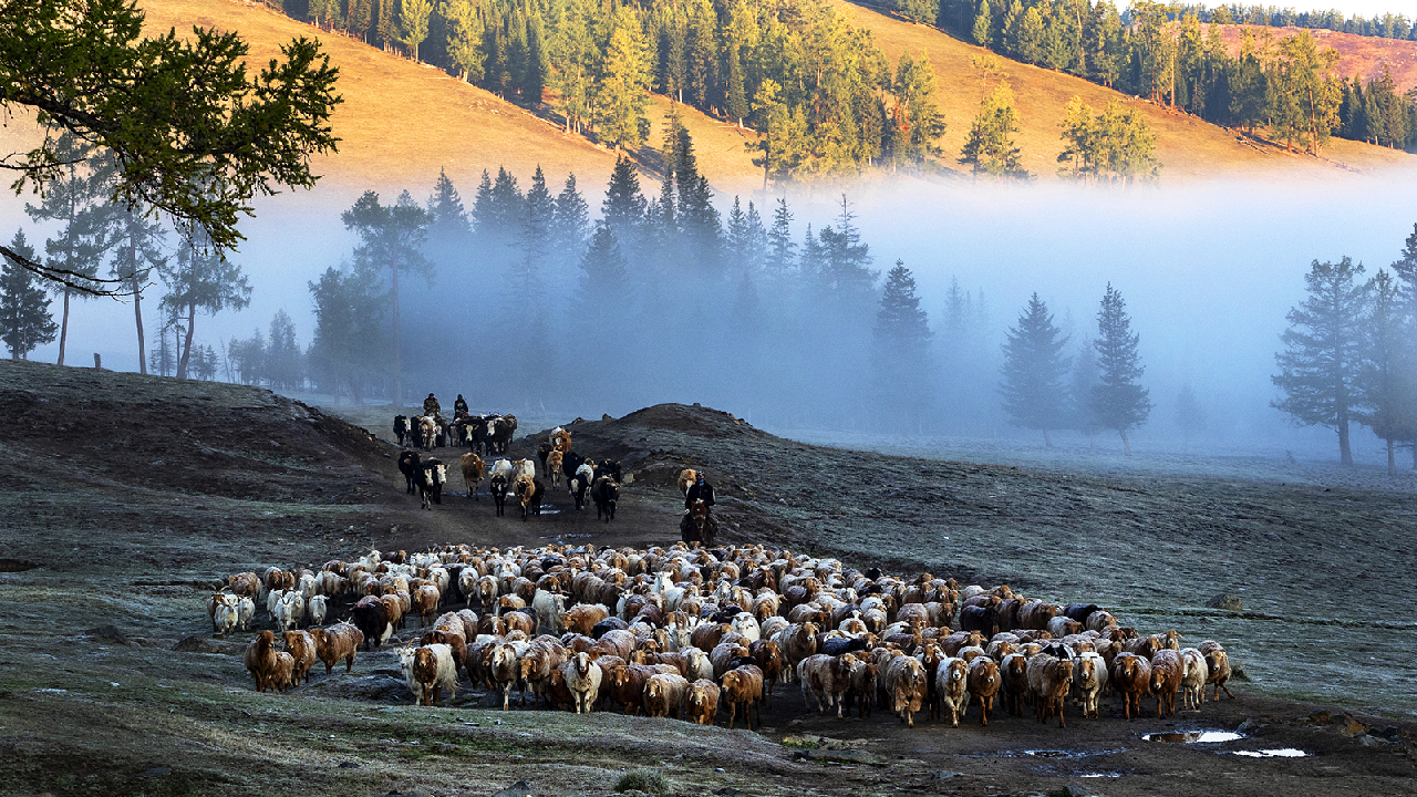 A soul-refreshing journey to Altay - CGTN