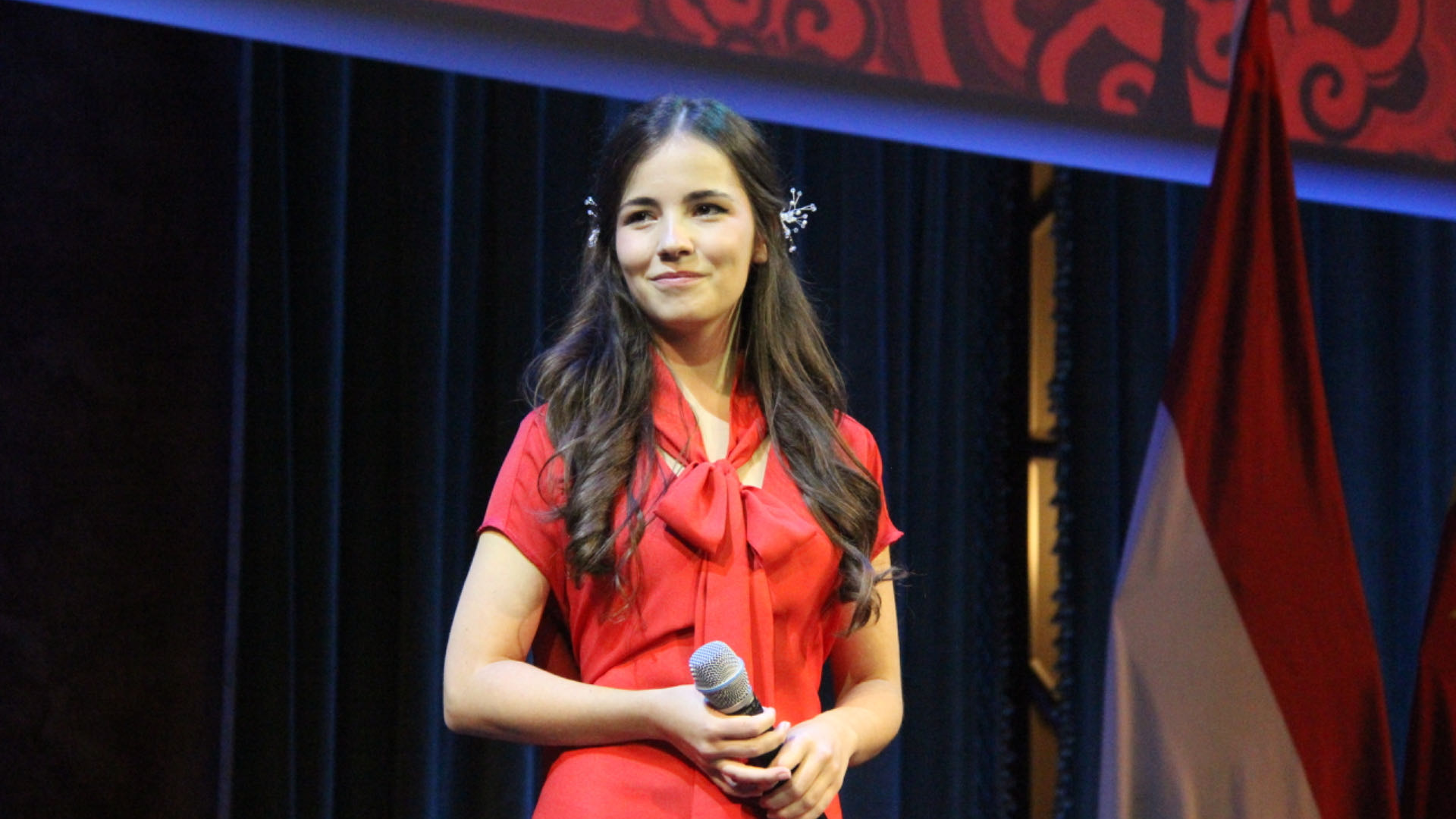 How do young Hungarians learn about Chinese culture?