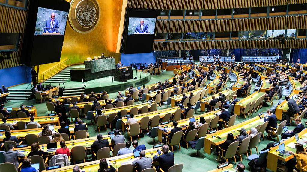 A special session of the United Nations (UN) General Assembly regarding the Palestinian bid for full membership to the UN is held at UN headquarters, New York City, the United States, May 10, 2024. /CFP