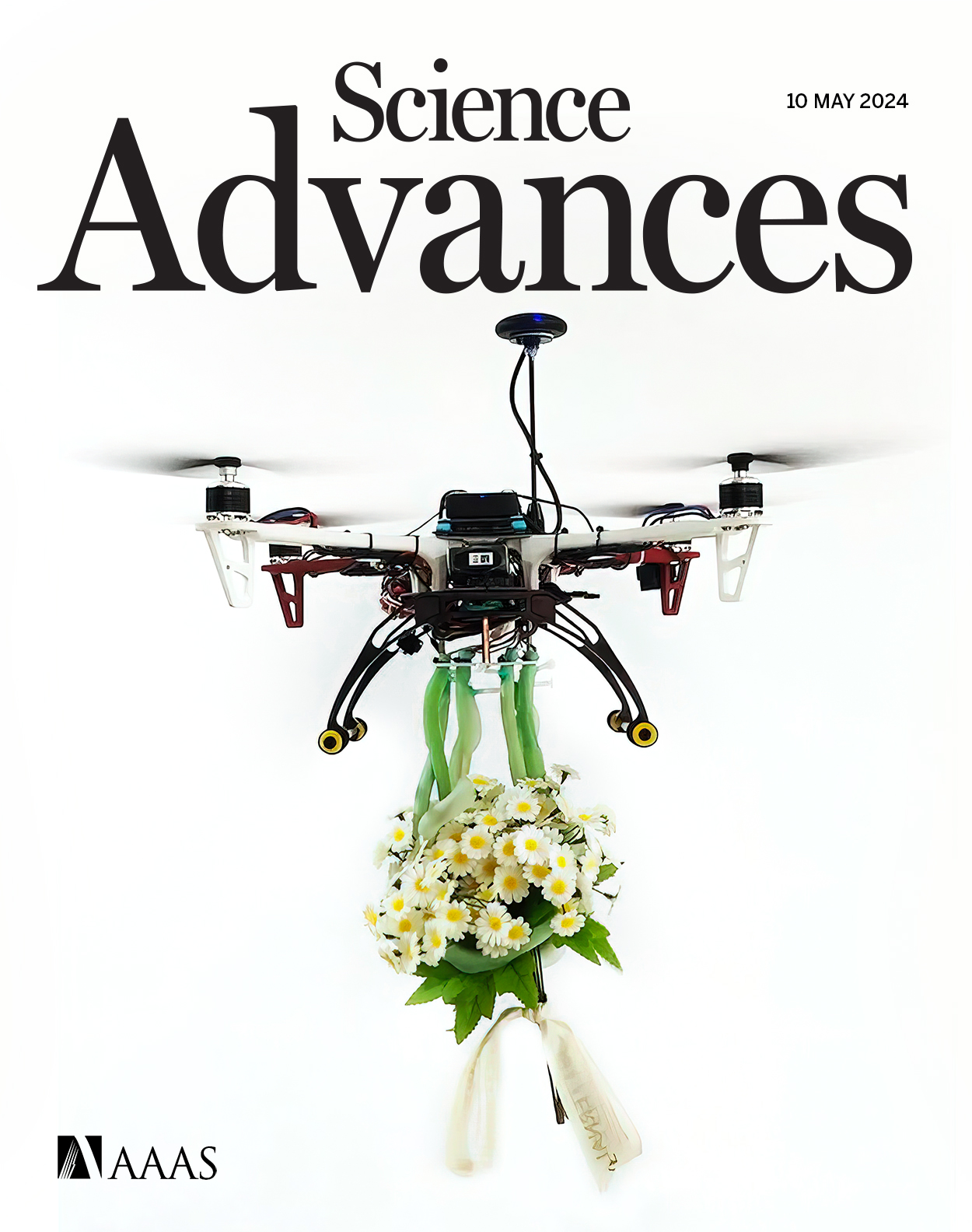 The cover of Science Advances displays a new class of biomimetic soft drone grippers, developed by Chinese engineers, using its soft grippers to grasp a bouquet of flowers, May 10, 2024. /Science Advances