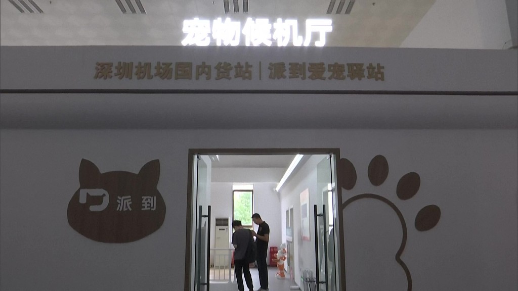 A photo taken on May 11, 2024, shows China's first pet waiting lounge in Shenzhen, Guangdong Province. /CFP