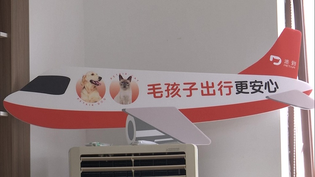 A photo taken on May 11, 2024, shows China's first pet waiting lounge in Shenzhen, Guangdong Province. /CFP