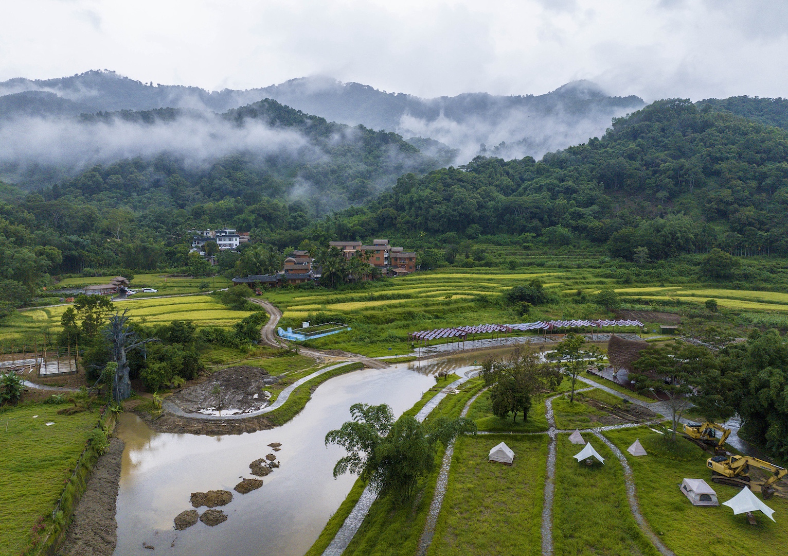 Hainan Tropical Rainforest National Park, Wuzhishan City, Hainan Province, south China, June 29, 2023. /CFP