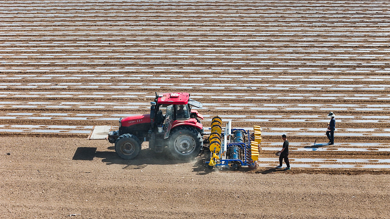 A cotton drill is fully mechanized in Hutubi County, China's Xinjiang Uygur Autonomous Region, April 11, 2024. /CFP