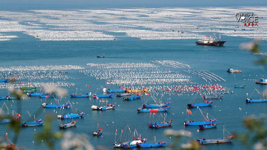 A mussel breeding base in Shengsi County of Zhoushan City, east China's Zhejiang Province. /Xinhua