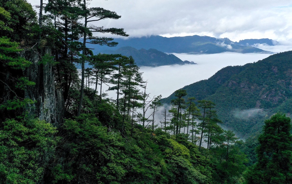 A file photo shows a view of the Wuyishan National Park in Fujian Province. /IC