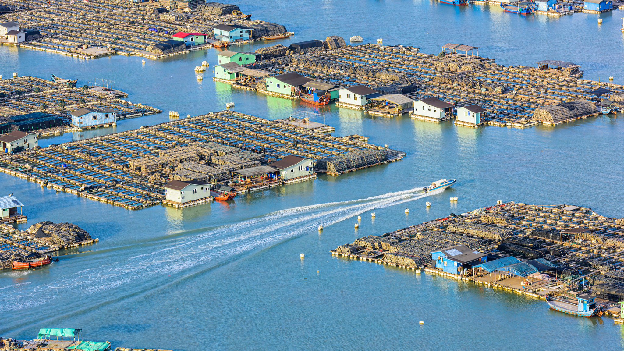 Fujian is an optimal place for developing marine economy, of which marine aquaculture is a significant part. /CFP