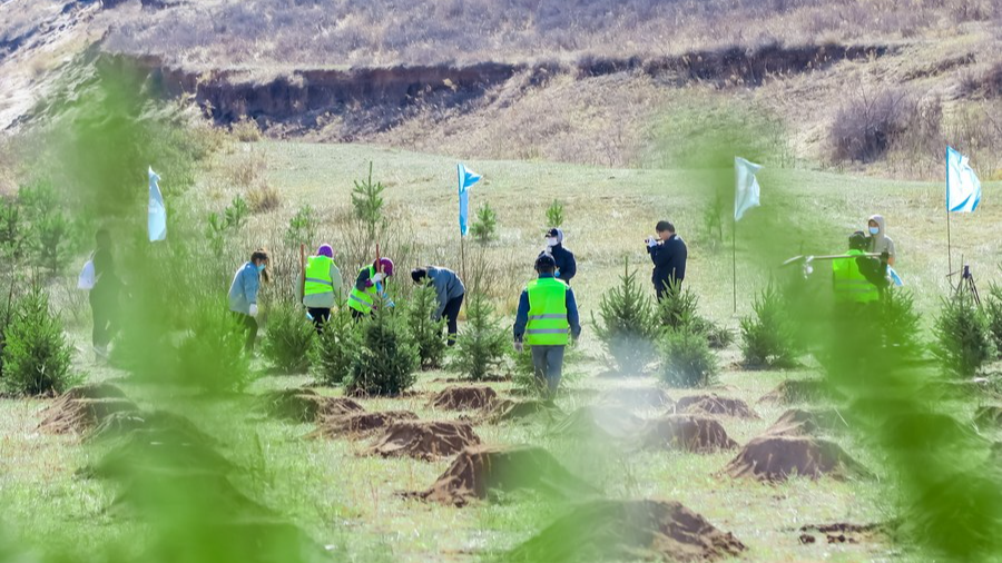 Volunteers plant trees in the Hunshandake Sandland, north China's Inner Mongolia Autonomous Region, April 22, 2023. /Xinhua